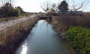 Image result for acequia