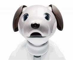 Image result for Aibo 310