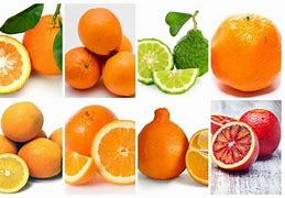 Image result for Orange American Fruits