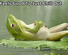 Image result for Just Chillin Pics