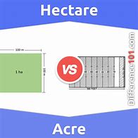 Image result for Acre vs Hectare