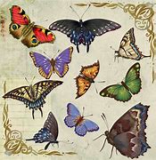 Image result for Retro Butterfly Clip Art