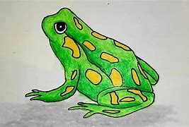 Image result for How to Draw a Golden Poison Dart Frog