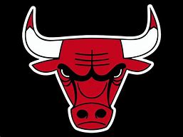 Image result for Chicago Bulls 24