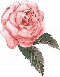 Image result for Pink Color Flower Clip Art