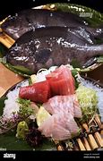 Image result for Tokyo University of Aquaculture