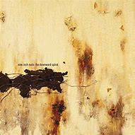 Image result for Nine Inch Nails Vinyl