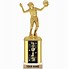 Image result for Volleyball Trophies