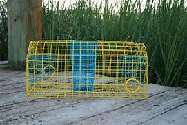 Image result for Crab Trap