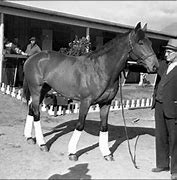 Image result for Tom Smith Seabiscuit