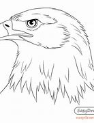 Image result for Eagle Head Line Drawing
