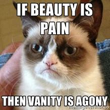 Image result for Pain Cat Meme