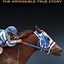 Image result for Horses in Movie Posters