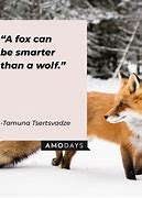 Image result for Sarain Fox Quotes