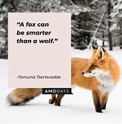 Image result for Red Fox Quotes