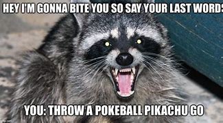 Image result for Rabid Raccoon Meme