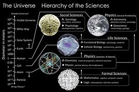 Image result for Life Science Grade 12 Textbook Caps PDF