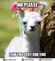 Image result for Happy Friday Llama