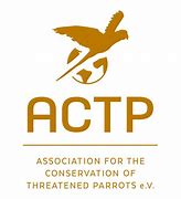 Image result for actp