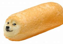 Image result for Doge Wallpaper Follow Your Dreams
