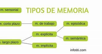 Image result for Tipos De Memoria Humana