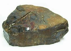 Image result for Black Petrified Wood
