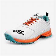 Image result for DSC Shoes Cricket