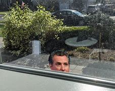 Image result for Gavin Newsom You