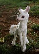 Image result for Very Cute Baby Unicorn Real
