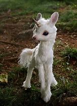 Image result for Baby Unicorn Animals