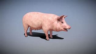 Image result for 3D Pig OBJ