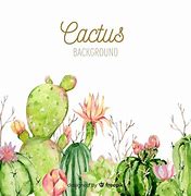 Image result for Cactus Watercolor Backdrop