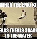 Image result for Dolphin Diving Meme