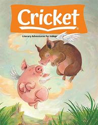 Image result for cricket magazine stories