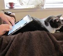 Image result for Throwing Up iPad