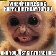 Image result for Monkey Birthday Party Meme