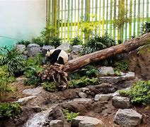 Image result for Panda Park in Blackwater QLD