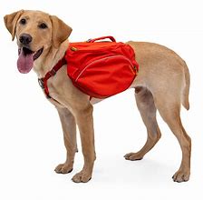 Image result for Dog Pack Harness