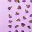 Image result for Lavender Purple Walls