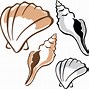 Image result for Steamed Clams Clip Art