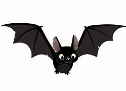 Image result for Cute Bat Species