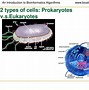 Image result for Protein Fold