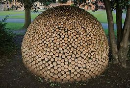 Image result for Beautiful Wood Pile
