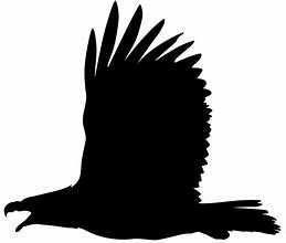 Image result for Bald Eagle Silhouette Clip Art