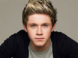 Image result for Niall Horan One Direction Era