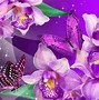 Image result for Simple Purple Butterfly Wallpaper