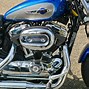 Image result for Harley Sportster 1200 Custom