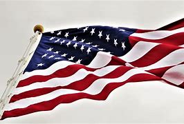 Image result for American Flag in the Wind