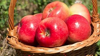 Image result for Fresh Apples