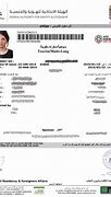 Image result for Dubai Visa Check